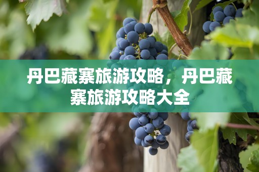 丹巴藏寨旅游攻略，丹巴藏寨旅游攻略大全