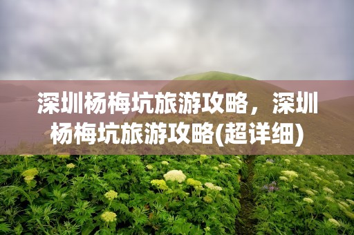 深圳杨梅坑旅游攻略，深圳杨梅坑旅游攻略(超详细)