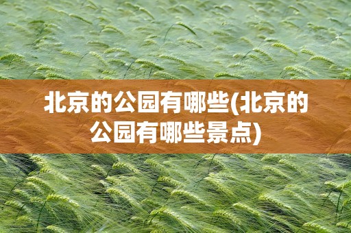 北京的公园有哪些(北京的公园有哪些景点)