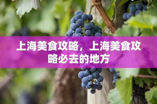 上海美食攻略，上海美食攻略必去的地方