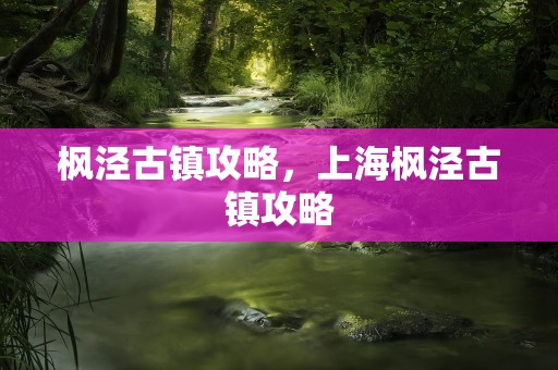 枫泾古镇攻略，上海枫泾古镇攻略