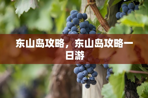 东山岛攻略，东山岛攻略一日游