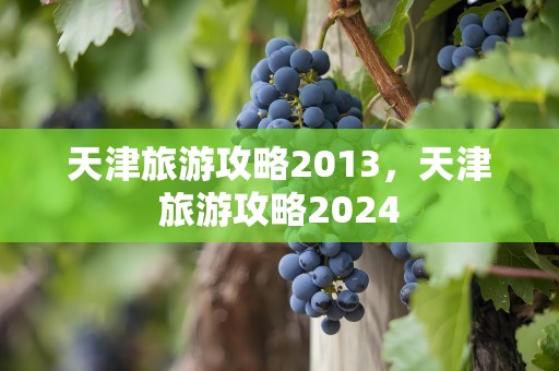 天津旅游攻略2013，天津旅游攻略2024
