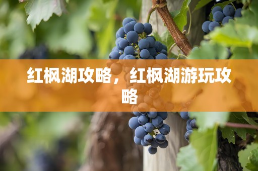 红枫湖攻略，红枫湖游玩攻略