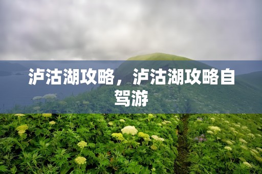 泸沽湖攻略，泸沽湖攻略自驾游
