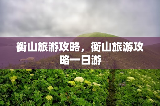 衡山旅游攻略，衡山旅游攻略一日游