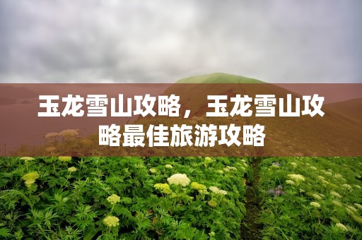 玉龙雪山攻略，玉龙雪山攻略最佳旅游攻略