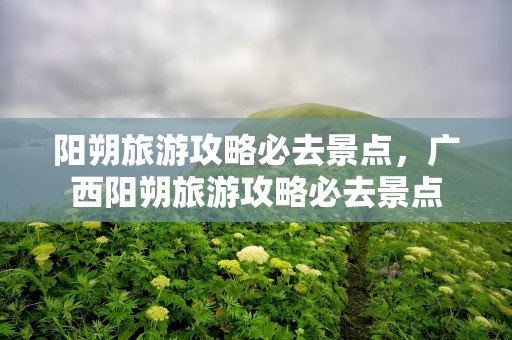 阳朔旅游攻略必去景点，广西阳朔旅游攻略必去景点