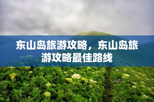 东山岛旅游攻略，东山岛旅游攻略最佳路线