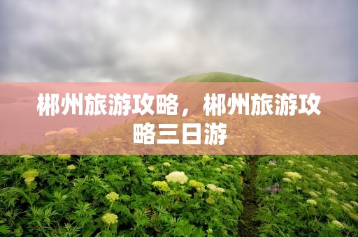 郴州旅游攻略，郴州旅游攻略三日游