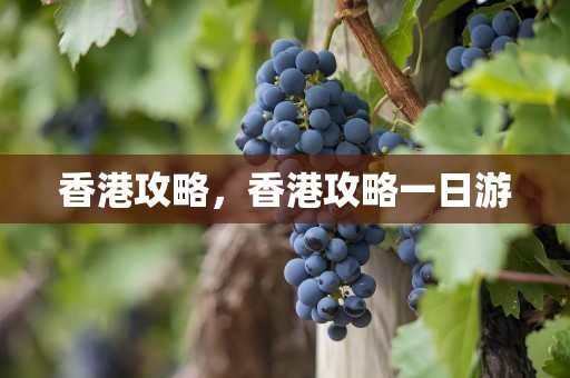 香港攻略，香港攻略一日游