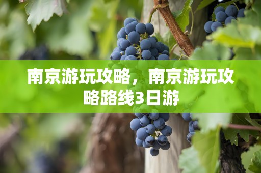 南京游玩攻略，南京游玩攻略路线3日游