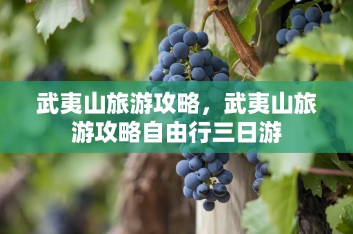 武夷山旅游攻略，武夷山旅游攻略自由行三日游