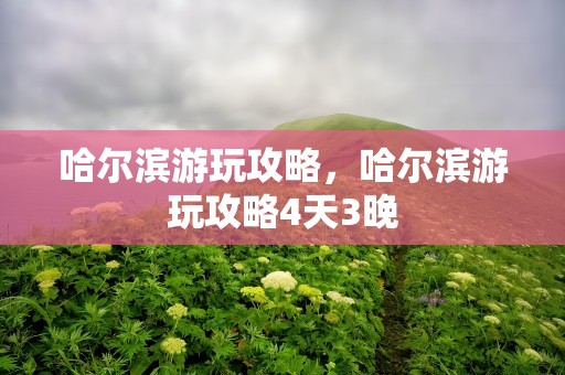 哈尔滨游玩攻略，哈尔滨游玩攻略4天3晚