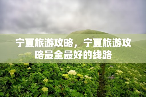 宁夏旅游攻略，宁夏旅游攻略最全最好的线路