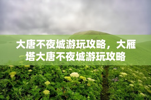 大唐不夜城游玩攻略，大雁塔大唐不夜城游玩攻略