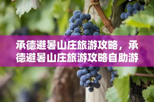 承德避暑山庄旅游攻略，承德避暑山庄旅游攻略自助游