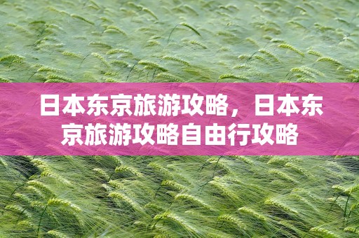 日本东京旅游攻略，日本东京旅游攻略自由行攻略