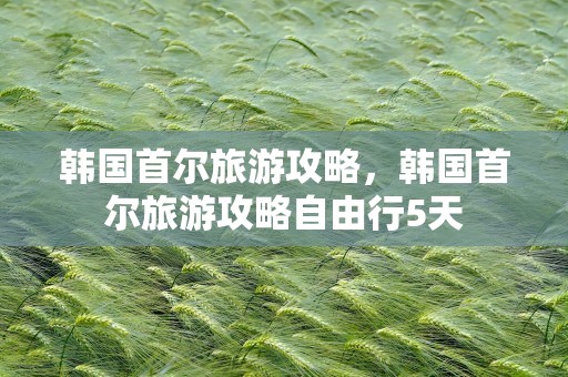 韩国首尔旅游攻略，韩国首尔旅游攻略自由行5天