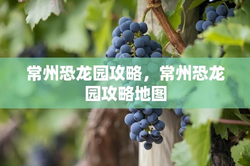 常州恐龙园攻略，常州恐龙园攻略地图