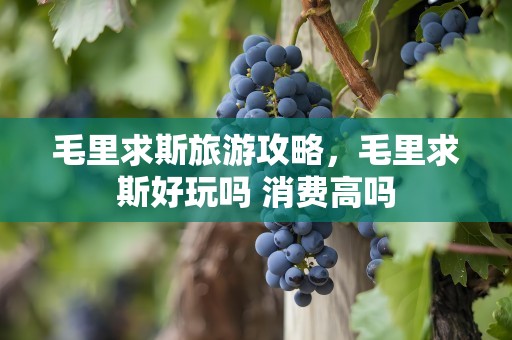 毛里求斯旅游攻略，毛里求斯好玩吗 消费高吗