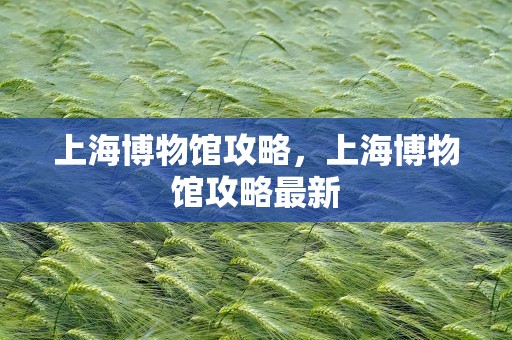 上海博物馆攻略，上海博物馆攻略最新