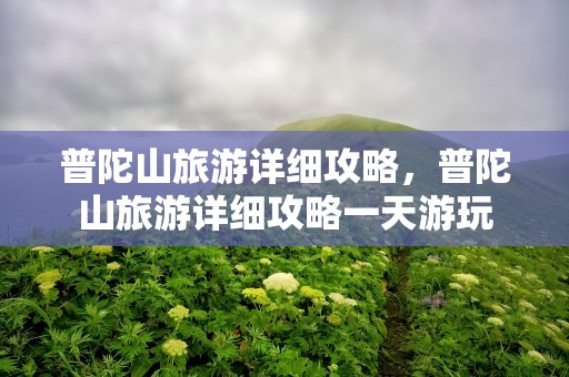 普陀山旅游详细攻略，普陀山旅游详细攻略一天游玩