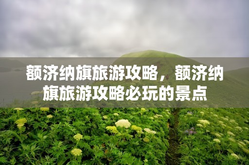 额济纳旗旅游攻略，额济纳旗旅游攻略必玩的景点