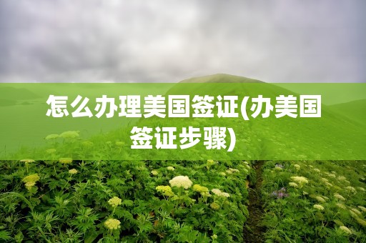 怎么办理美国签证(办美国签证步骤)