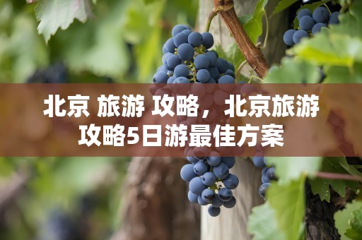北京 旅游 攻略，北京旅游攻略5日游最佳方案