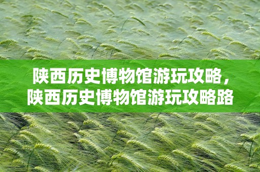 陕西历史博物馆游玩攻略，陕西历史博物馆游玩攻略路线