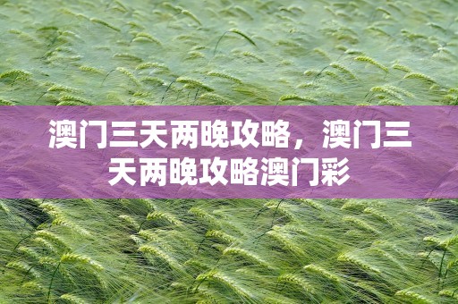 澳门三天两晚攻略，澳门三天两晚攻略澳门彩