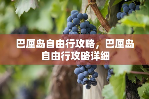 巴厘岛自由行攻略，巴厘岛自由行攻略详细