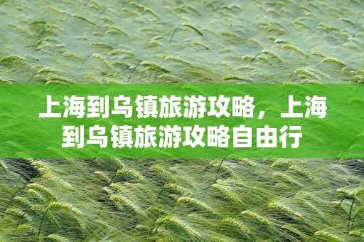 上海到乌镇旅游攻略，上海到乌镇旅游攻略自由行