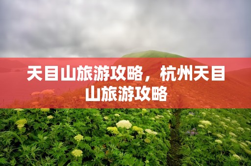 天目山旅游攻略，杭州天目山旅游攻略