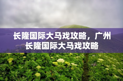 长隆国际大马戏攻略，广州长隆国际大马戏攻略