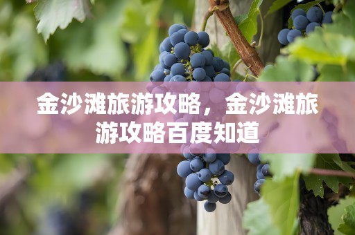 金沙滩旅游攻略，金沙滩旅游攻略百度知道