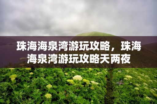 珠海海泉湾游玩攻略，珠海海泉湾游玩攻略天两夜