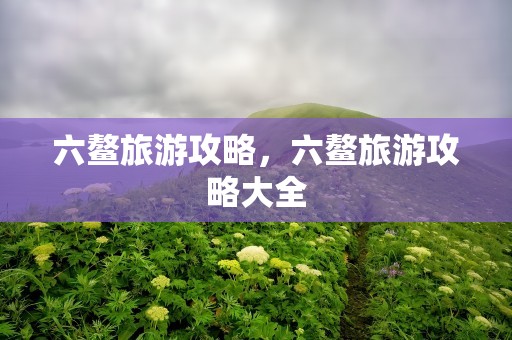 六鳌旅游攻略，六鳌旅游攻略大全