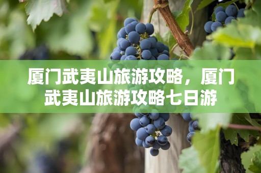 厦门武夷山旅游攻略，厦门武夷山旅游攻略七日游