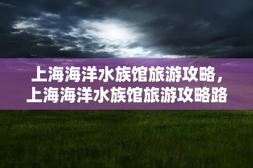 上海海洋水族馆旅游攻略，上海海洋水族馆旅游攻略路线