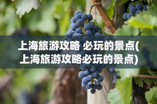 上海旅游攻略 必玩的景点(上海旅游攻略必玩的景点)