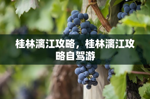 桂林漓江攻略，桂林漓江攻略自驾游
