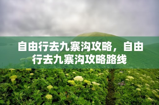 自由行去九寨沟攻略，自由行去九寨沟攻略路线