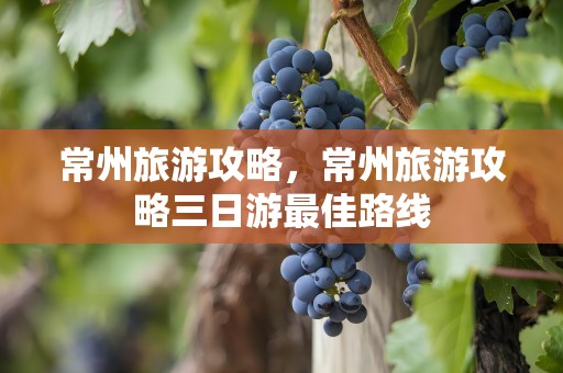常州旅游攻略，常州旅游攻略三日游最佳路线