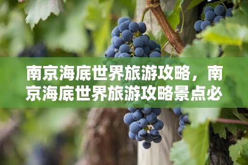南京海底世界旅游攻略，南京海底世界旅游攻略景点必去