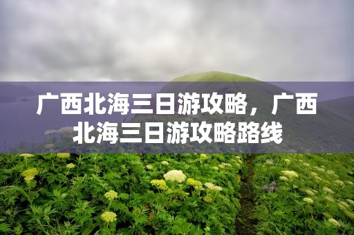 广西北海三日游攻略，广西北海三日游攻略路线