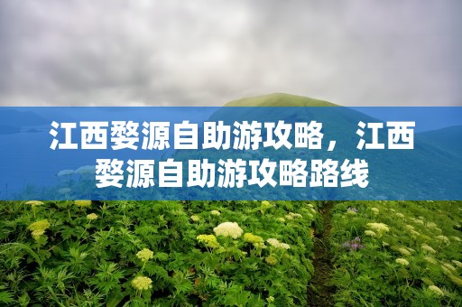 江西婺源自助游攻略，江西婺源自助游攻略路线