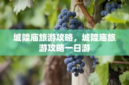 城隍庙旅游攻略，城隍庙旅游攻略一日游