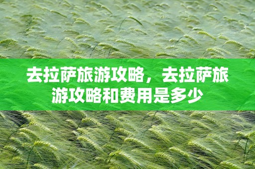 去拉萨旅游攻略，去拉萨旅游攻略和费用是多少